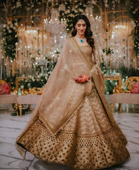 Golden Mocha Slub Silk Embroidered Lehenga Choli Set