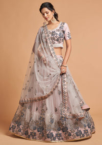 Grey Soft Net Zari Embroidered Lehenga Choli Set