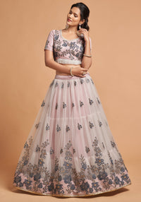 Grey Soft Net Zari Embroidered Lehenga Choli Set