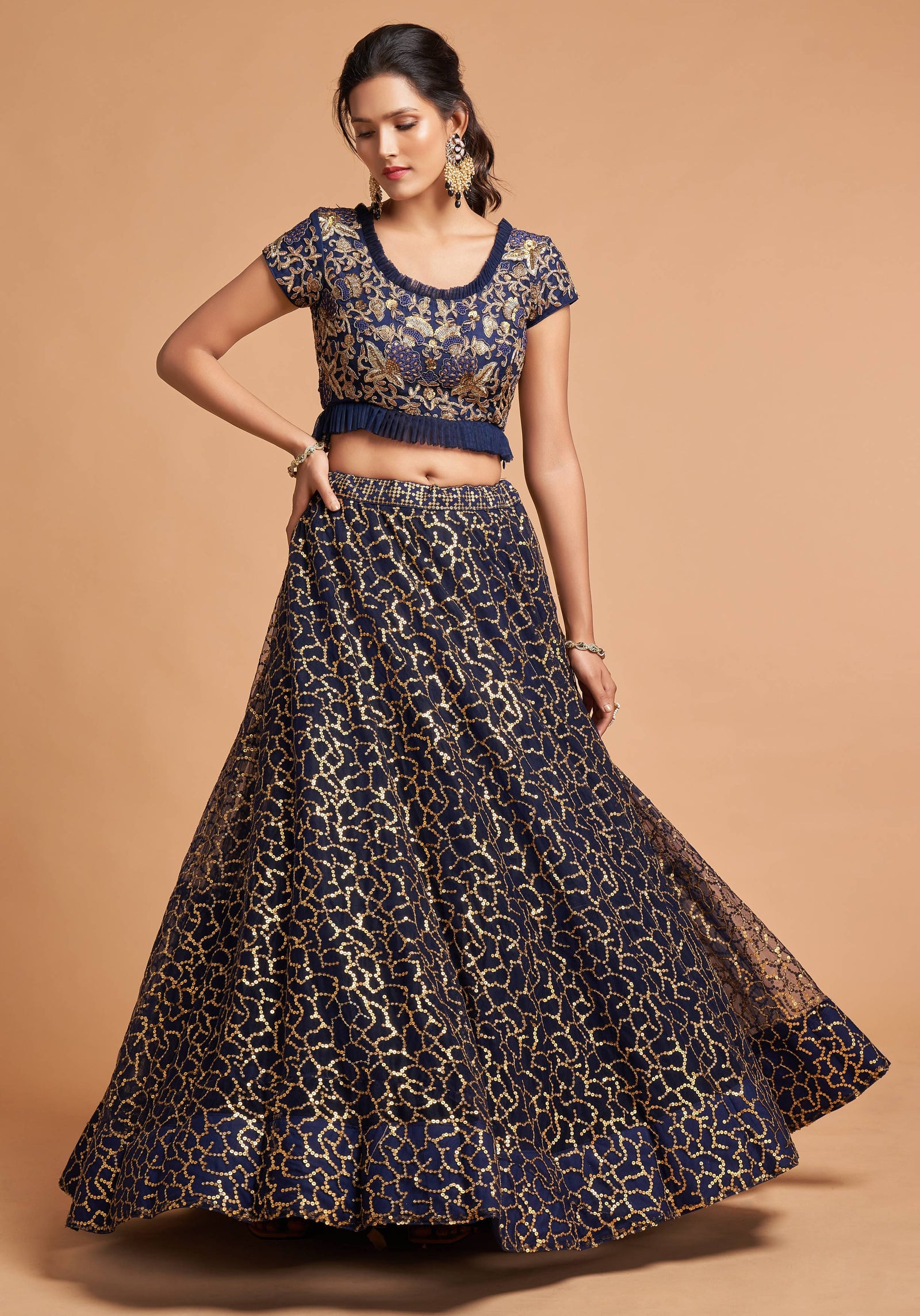 Navy Blue Soft Net Zari Embroidered Lehenga Choli Set