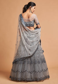 Mist Grey Soft Net Zari Embroidered Lehenga Choli Set