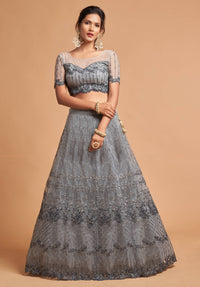 Mist Grey Soft Net Zari Embroidered Lehenga Choli Set