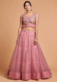 Blush Pink Soft Net Zari Embroidered Lehenga Choli Set