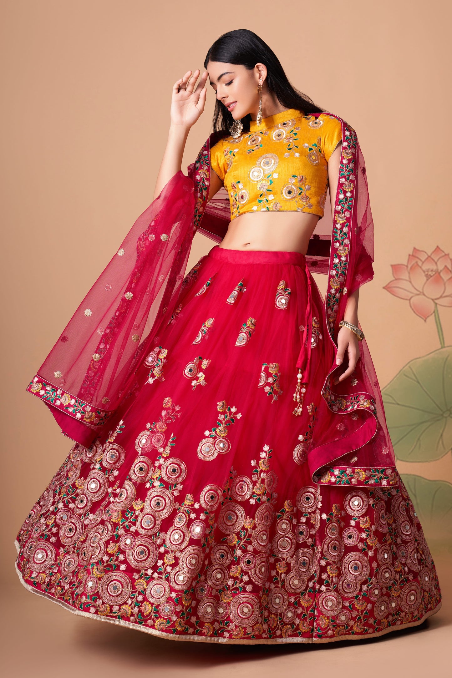 Rani Soft Net Mirror Embroidered Lehenga Choli Set