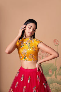 Rani Soft Net Mirror Embroidered Lehenga Choli Set