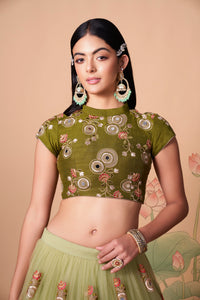 Pista Soft Net Mirror Embroidered Lehenga Choli Set