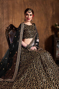 Black Raw Silk Heavy Embroidered Lehenga Choli Set