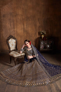 Regal Blue Raw Silk Zari Embroidered Lehenga Choli Set