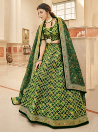 Verdant Charm Embroidered Lehenga Set