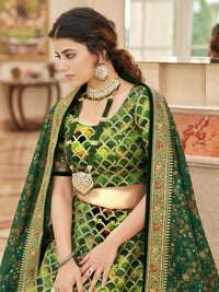 Verdant Charm Embroidered Lehenga Set