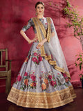 Silver Mist Banglori Silk Lehenga Set