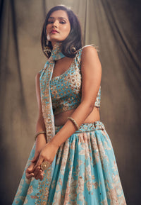 Celestial Mist Embroidered Organza Lehenga Set