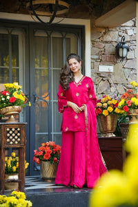 Rani Pink Embroidered Frendy Silk Palazzo Set