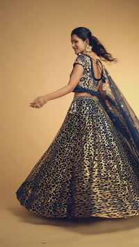 Navy Blue Soft Net Zari Embroidered Lehenga Choli Set