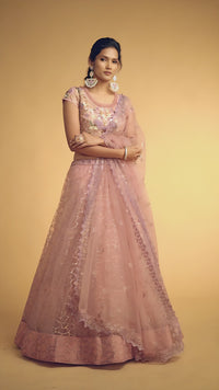 Blush Pink Soft Net Zari Embroidered Lehenga Choli Set