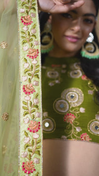 Pista Soft Net Mirror Embroidered Lehenga Choli Set